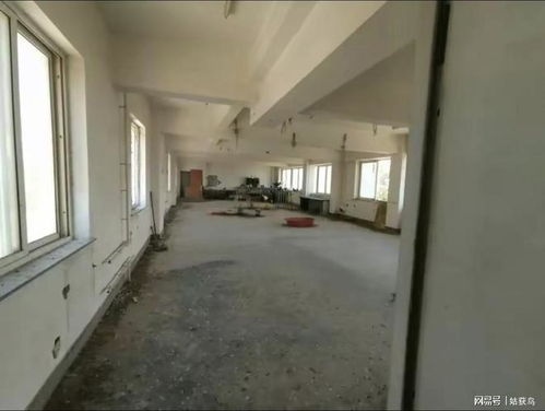 大连市有一座大型废弃工厂第二次拍卖,被人以716.8万元竞得