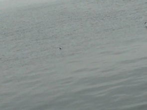 流浪大连 窗帘之后的故事